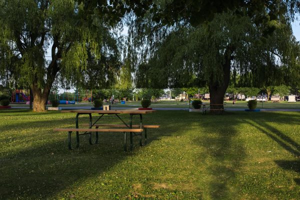 Aire de pique-nique 1-min