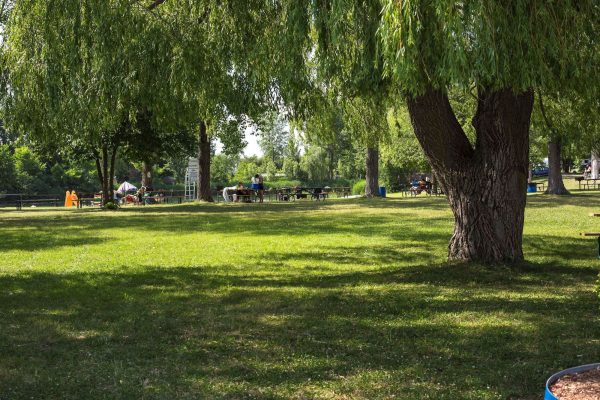 Aire de pique-nique 3-min