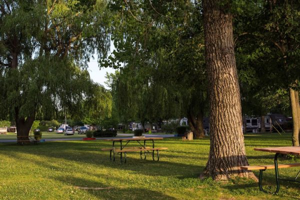 Aire de pique-nique 4-min