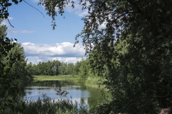 Le lac sauvage (4)-min