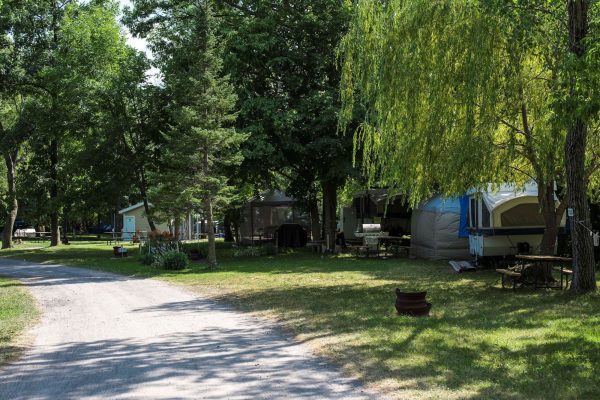 Terrain 2 services (2)-min